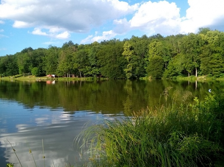 Az Őrségben található tavak: Vadása, Borostyán, Hársas-tó
